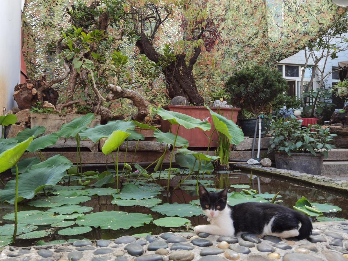 דאלי The Lily Pad Inn מראה חיצוני תמונה